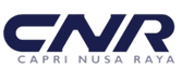 cnr